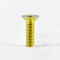 Proti M6 Universal Bolt M6L20-OTB08 Proti M6 Universal Bolt M6L20-OTB08